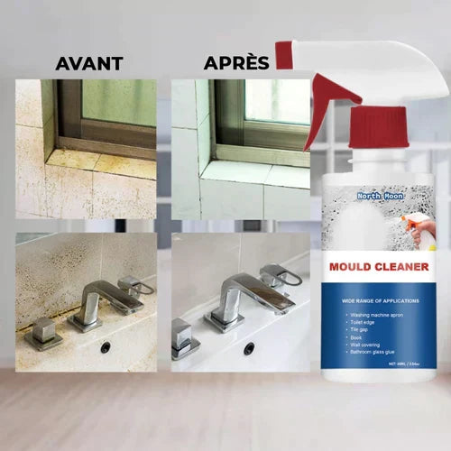 Spray Anti Moisissures