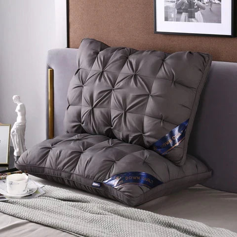 2x Oreiller d'Hôtel Luxueux